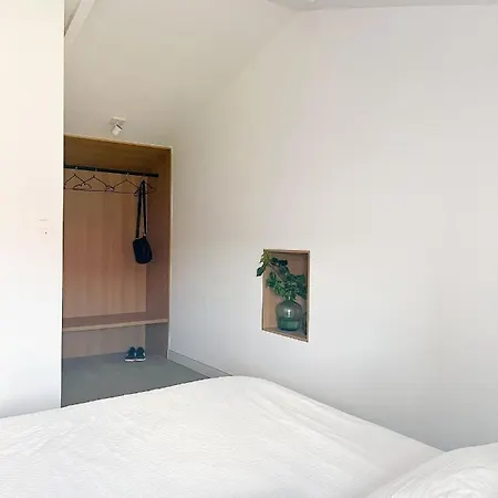Seixurra 31 *