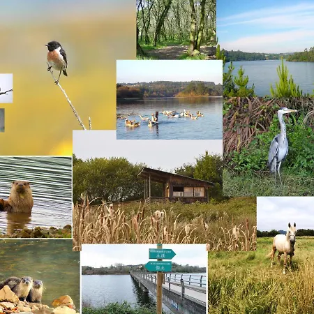 Seixurra 31 Сasa de vacaciones