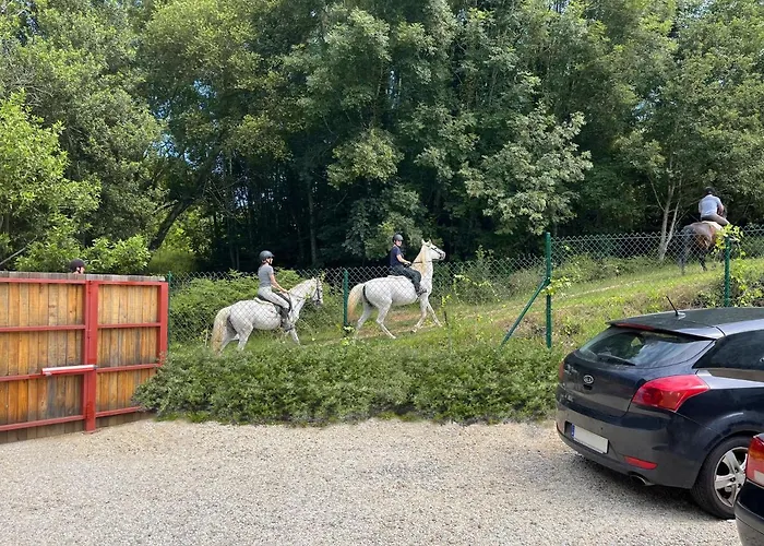 Seixurra 31 Holiday home *